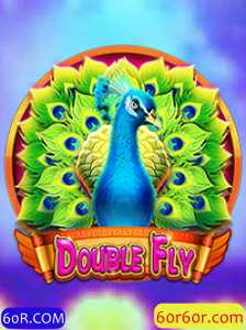 DoubleFly: Uma Introdução Completa ao Jogo Vibrante e suas Regras